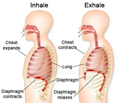 https://www.snoringmouthpieceguide.com/